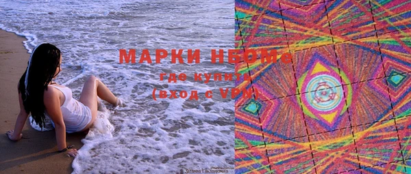 шишки Каменка