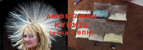 шишки Каменка
