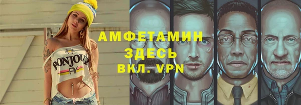 шишки Каменка