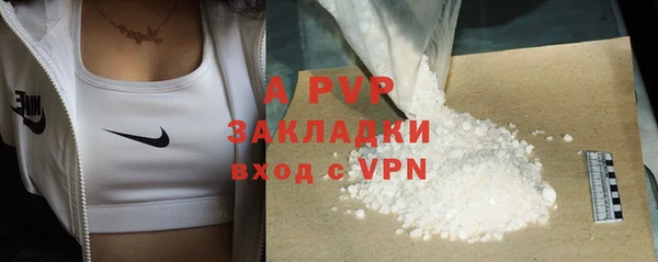 шишки Каменка