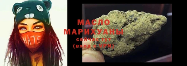 шишки Каменка