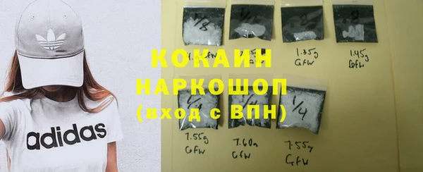 шишки Каменка