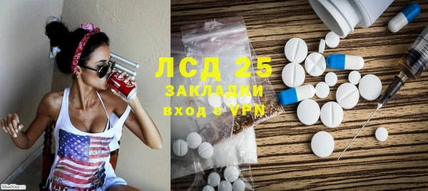 шишки Каменка