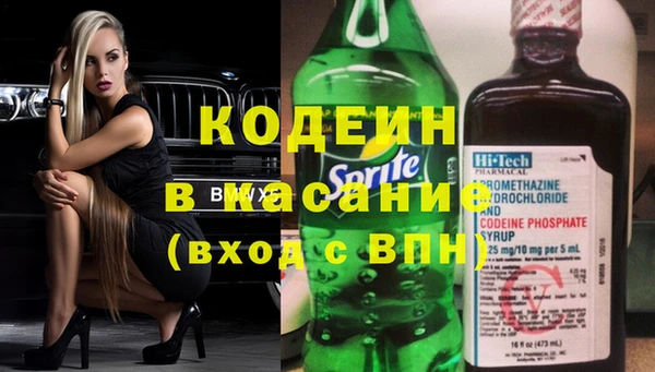 шишки Каменка