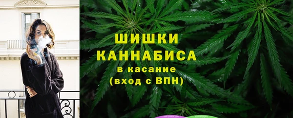 шишки Каменка