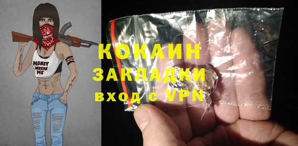 шишки Каменка